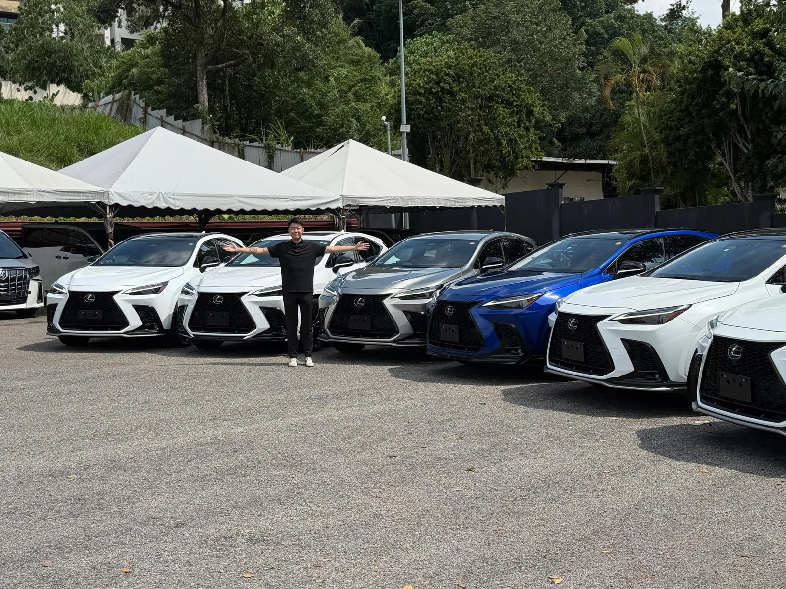 Row of Lexus recon vehicles available for customer enquiries